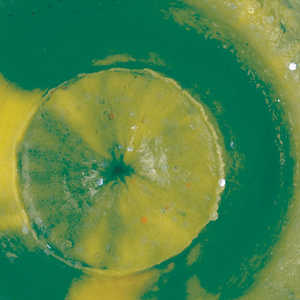 Bild på Powerbait Extra Scent Fluo Green Yellow