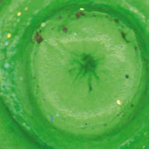 Bild på Powerbait Extra Scent Spring Green