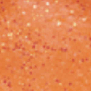 Bild på Powerbait Extra Scent Fluo Orange