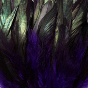 Bild på Tupphackel Badger Purple