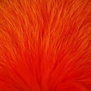 Bild på Shadow Fox Orange