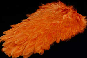 Bild på American Hensaddle Burnt Orange