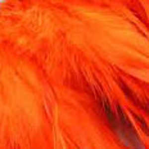 Bild på Tupphackel  Orange