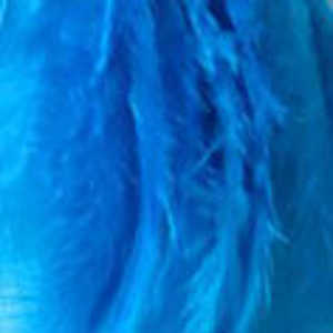 Bild på Tupphackel  Kingfisher Blue