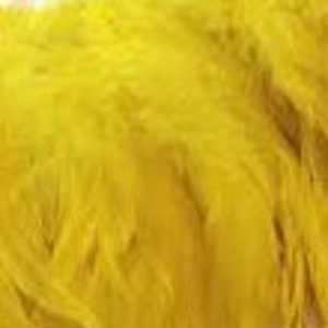 Bild på Tupphackel  Yellow
