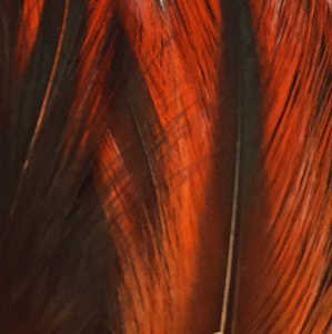 Bild på Tupphackel Badger Orange