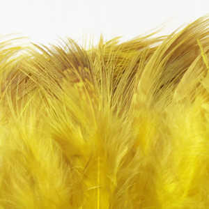 Bild på Ringfasan Rumphackel Sunburst Yellow