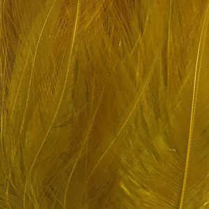 Bild på Tupphackel Golden Olive
