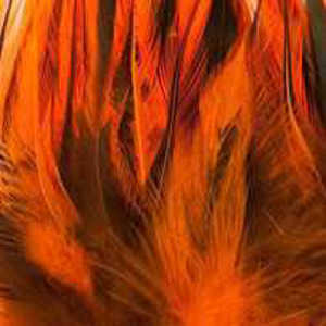 Bild på Tupphackel Badger Fluo Orange