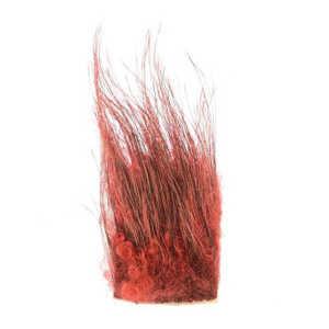 Bild på Wild Boar Hair (Vildsvin) Red