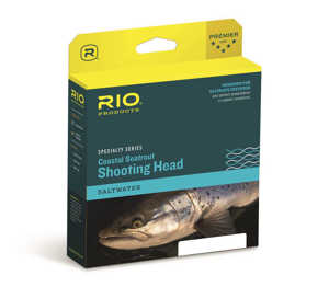 Bild på Rio Coastal Seatrout Shooting Head Hover #5/6