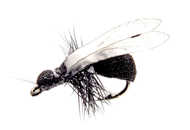 Bild på Json Realistic Wing Wasp/Ant Clear (24 par)