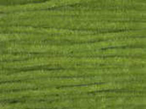 Bild på Chenille Ultra X-Fine (1,8mm) Green