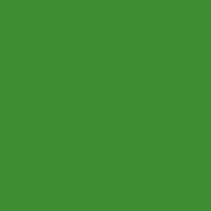Bild på Json Foam 1mm (3 pack) Apple Green