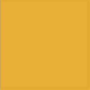 Bild på Json Foam 1mm (3 pack) Saffron Gold