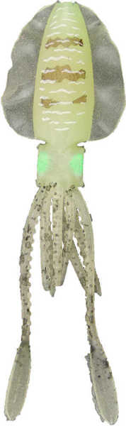 Bild på Wiggler Wing Squid Glow 15cm (2 pack)