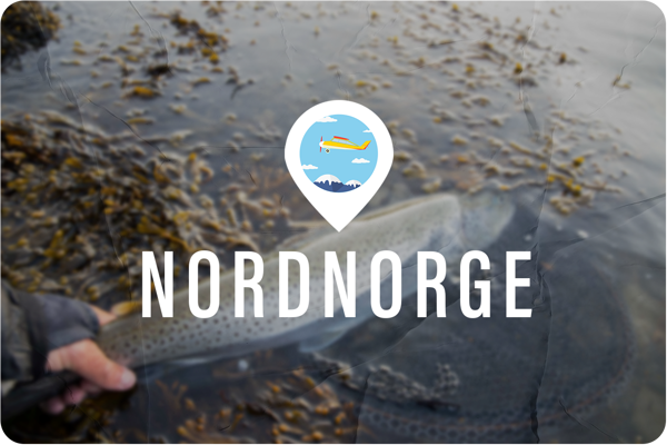 Bild på Havsöringsfiske | Nordnorge