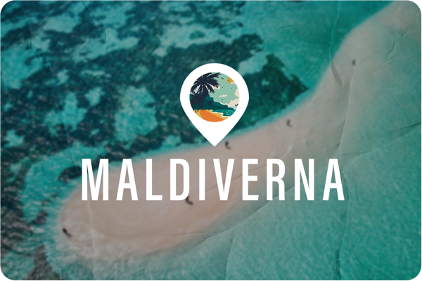 Bild på Flugfiske | Maldiverna